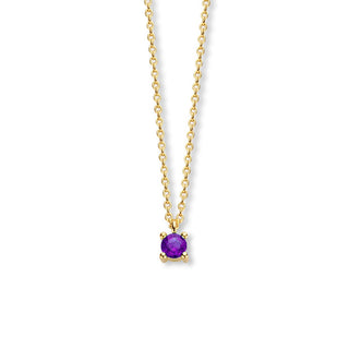 February Birthstone Necklace 14K Yellow Gold - Royal Coster Diamonds