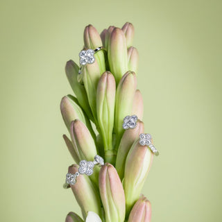 Garden Flourish Ring - Royal Coster Diamonds