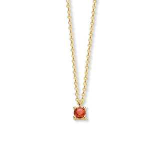 January Birthstone Necklace 14K Yellow Gold - Royal Coster Diamonds
